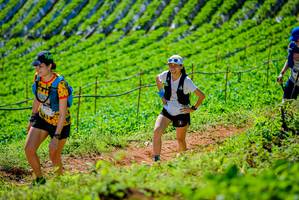 BIB: 1174
                            <button type="button" onclick="openModal(19163299)" class="btn btn-primary btn-sm float-right btn-popup" data-toggle="modal" data-target=".modal-high-quality">
                        <i class="fas fa-shopping-cart"></i> Add to Cart
                    </button>
                                            <button type="button" onclick="isThisMe(19163299, true)" class="btn btn-success btn-sm float-right btn-popup btn-isme hidden" data-toggle="tooltip" data-placement="bottom" title="นี่คือรูปของคุณใช่ไหม คลิกที่นี่เพื่อเอาเข้าอัลบั้ม">
                        <i class="fas fa-plus"></i> Add to album
                    </button>
                    <button type="button" onclick="isThisMe(19163299, false)" class="btn btn-warning btn-sm float-right btn-popup btn-isnotme hidden">
                        <i class="fas fa-ban"></i> Remove from album
                    </button>